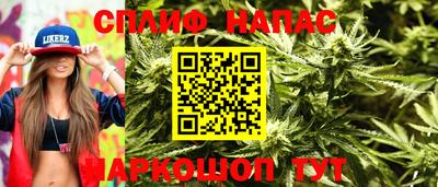 гидра Будённовск
