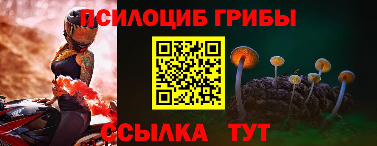 закладки  Псилоцибиновые грибы прущие грибы  Вход с VPN  Сафоново 