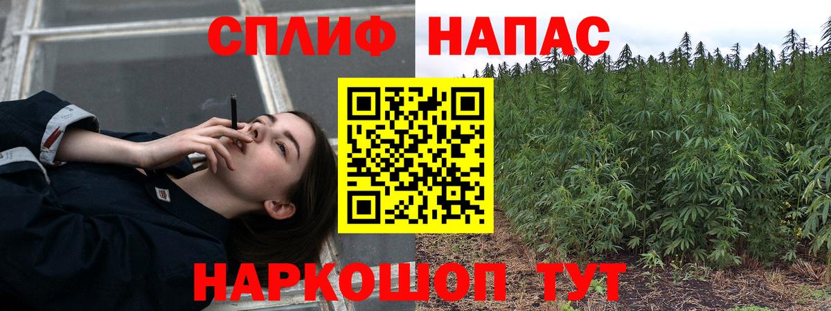 Конопля VHQ  Бошки Шишки сатива  Сафоново  Канабис сатива  Вход с VPN 